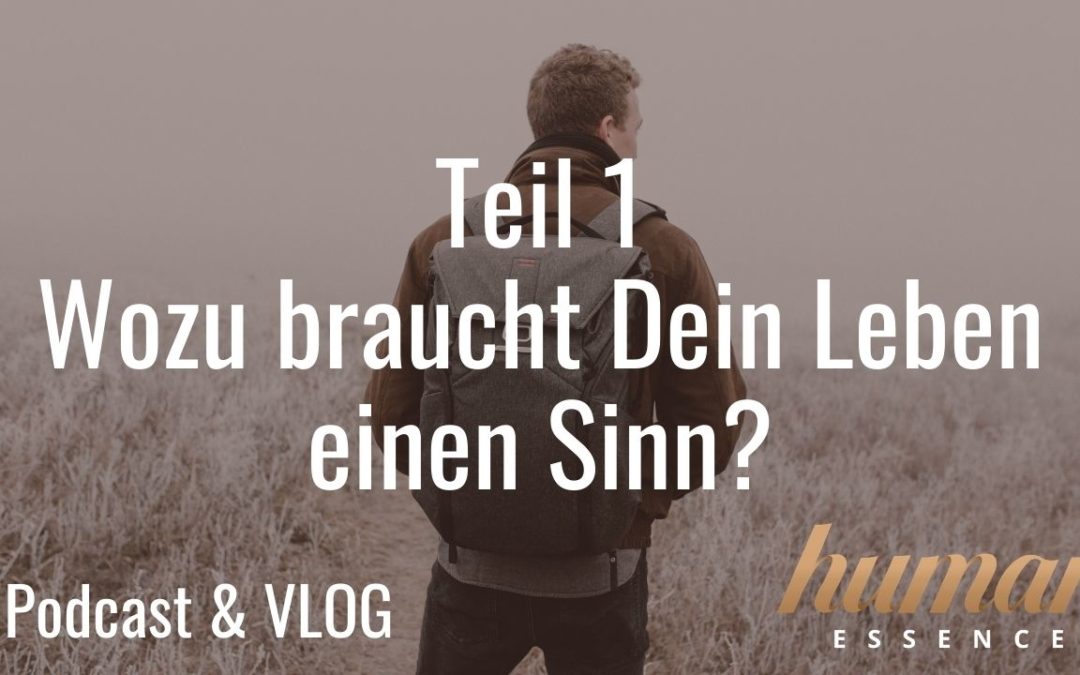 Teil 1: Wozu braucht Dein Leben einen Sinn? VLOG